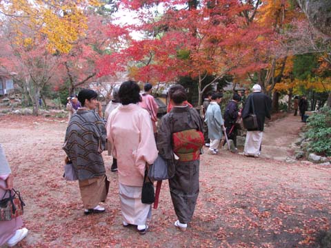 安芸の宮島「紅葉谷」での秋の園遊会